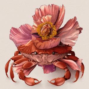 AFFICHE 002 | CRABE