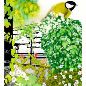 La mésange et les friches
