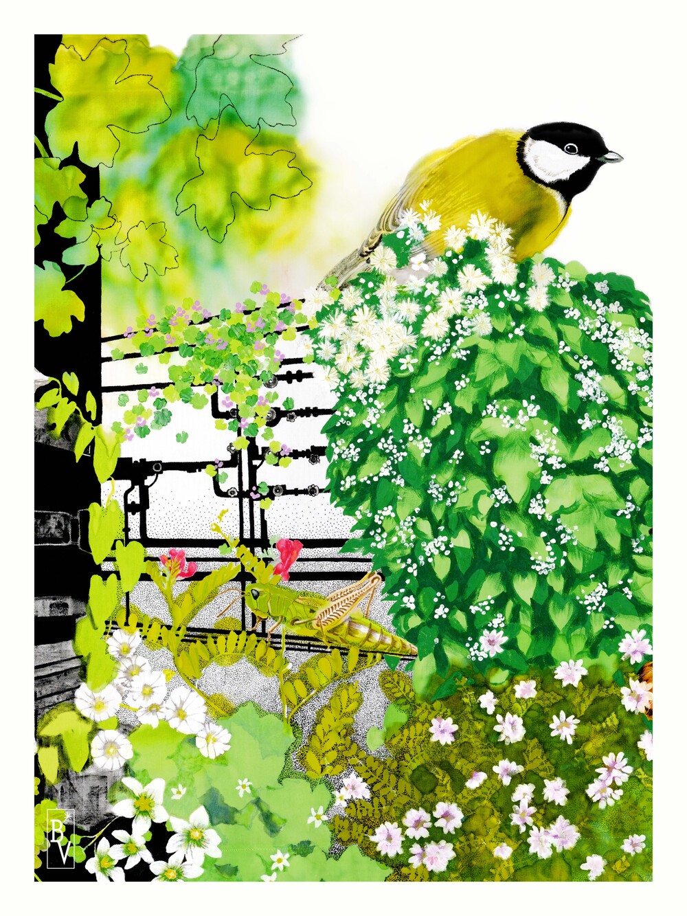 La mésange et les friches