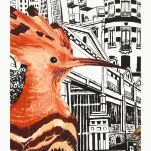 La Huppe Fasciée